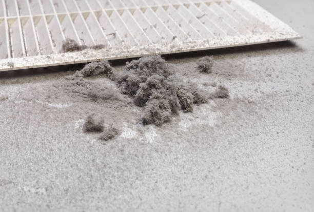 Best Ductwork Cleaning Services  in Arcadia, FL