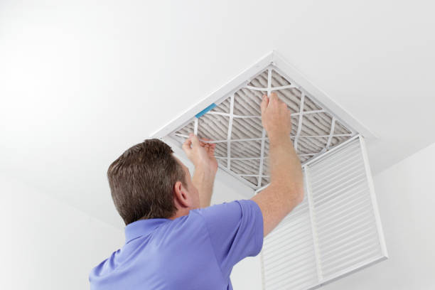 Best Home Air Vent Cleaning  in Arcadia, FL